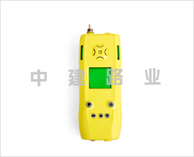 CY30/B型泵吸式氧氣檢測(cè)儀