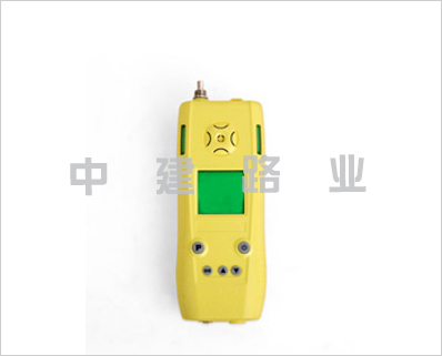 泵吸式可燃?xì)?一氧化碳二合一檢測儀