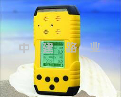 YT-1200H-M4型復(fù)合式氣體檢測儀